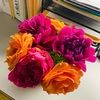 alison_bertin